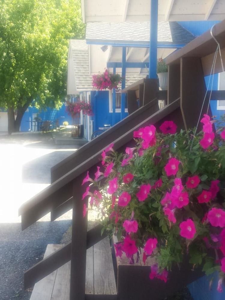 كيستون The Brookside Motel / Mt. Rushmore المظهر الخارجي الصورة